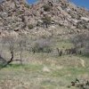 hiker on the ballantine creek trail