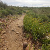 views from the scenic loop hike