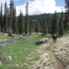 Hiking on the Thompson trail