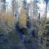 Fall colors on the Old Bright Angel trail