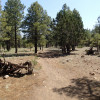 Hiking in the Campbell loop hike system