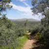 Views from the Salida view trail