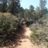 Fossil springs trail