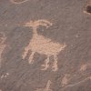 Petroglyphs in Paria river canyon