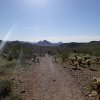 Lost Dog Wash trail