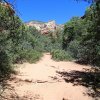 Along the Fay Canyon trail