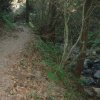 Hiking on the trail to Mount Takao