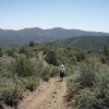 Hiker on the Watershed trail to Seven mile gulch trail