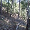 Along the Kellner canyon trail