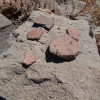 Pottery shards found at the cline creek site