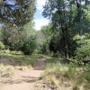 Hiking the Water Wheels Falls trail