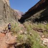 Hiking along Stone Creek in the Grand Canyon