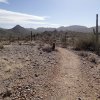 Goldmine trail - San Tan Regional park