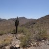 hiking along the Shaw butte trail