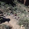 hikers on the Picketpost mountain trail