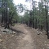 Willow springs lake bike trail