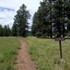 Along Sandy&#039;s canyon trail