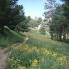 Mount Lemmon trail