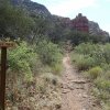 Along the Bell trail near beaver creek