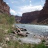 The Colorado River as seen from Jackass Creek