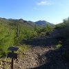 King Canyon trailhead