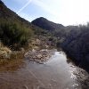 Water in the Superstion Wilderness