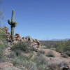 Along the Dixie mine trail