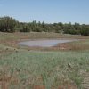 Stock pond along the Panorama trail