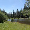 Westfork of the Little Colorado