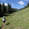 Mount Baldy trail