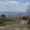 Woodchute trail