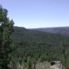 Views on the trail to Dorsey spring trail