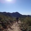 Gateway loop trail - McDowell Mountain preserve