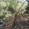 Haunted Canyon trail (Tony Ranch)