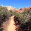 Along the Boynton canyon trail