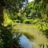 Views along the Verde River from the Greenway Trail