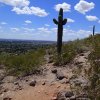 Hiking the Cholla trail: Camelback mountain