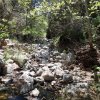 Haunted Canyon trail (Tony Ranch)