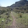 Along the Garfias wash trail