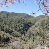 Views from Kellner canyon trail