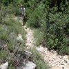 Hiking down the Tramway trail