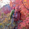 Fall colors on the Old Bright Angel trail