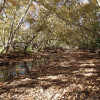 Hiking along the Bushnell Tank trail