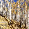 Golden leaves on the Inner Basin trail