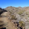 Along the Skyline crest trail