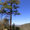 Views from the Badger mountain trail