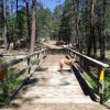 Bridge and Ridgeback on the Willow Springs lake trail