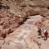 hiking through Rider canyon