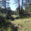 Salida view trail