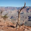 Views from the South Kaibab trail